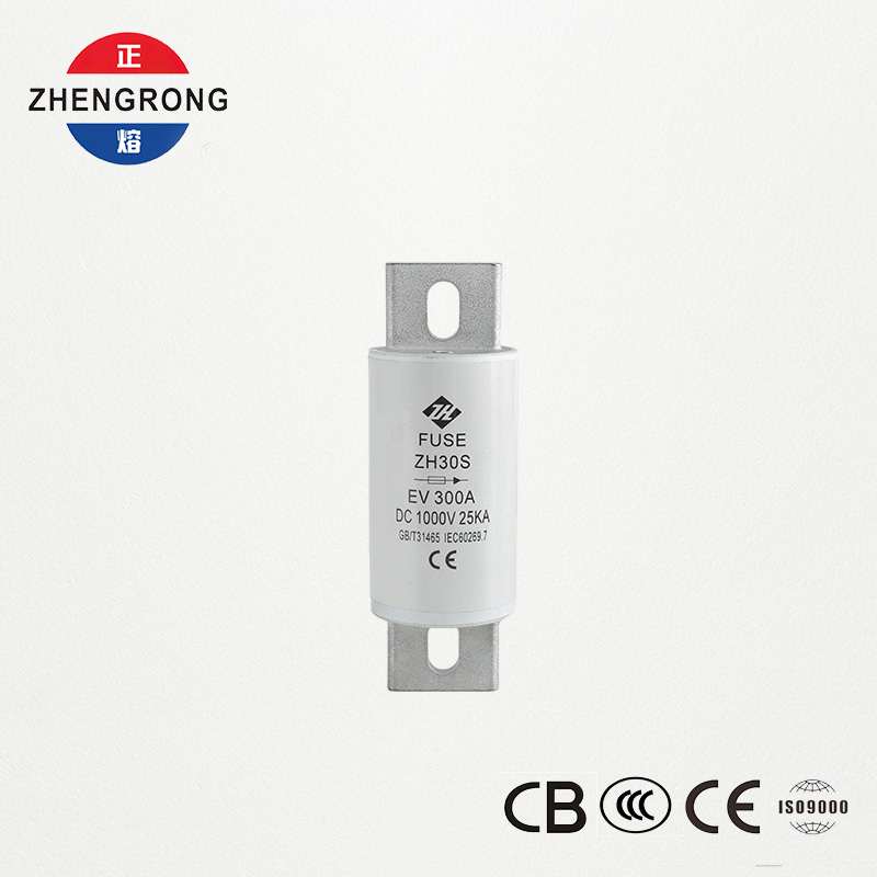 ईवी डीसी फ्यूज 300A 1000V (ZH30S)