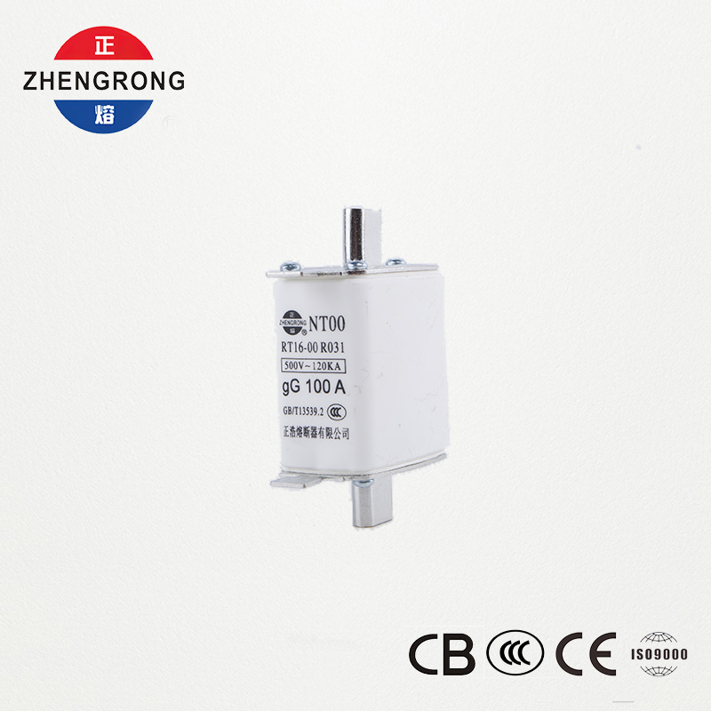 उच्च ब्रेकिंग क्षमता NT00 100A फ़्यूज़ - 500V 120kA सिरेमिक gG फ़्यूज़ लिंक