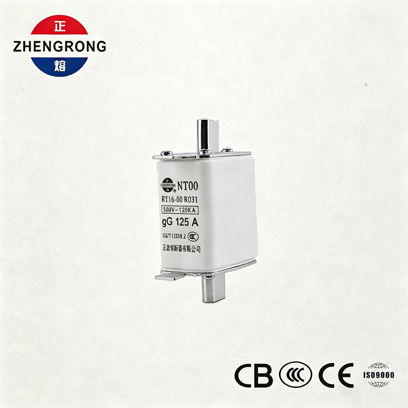 उच्च ब्रेकिंग क्षमता NT00 125A फ़्यूज़ - 500V 120kA सिरेमिक gG फ़्यूज़ लिंक