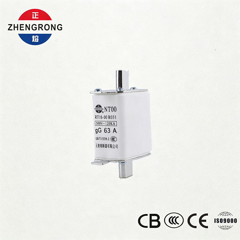 उच्च ब्रेकिंग क्षमता NT00 63A फ़्यूज़ - 500V 120kA सिरेमिक gG फ़्यूज़ लिंक