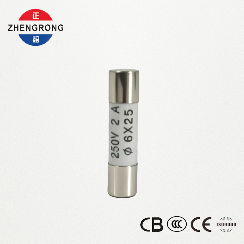 थोक खरीदारों के लिए उच्च प्रदर्शन 6x25mm R057 2A फ़्यूज़