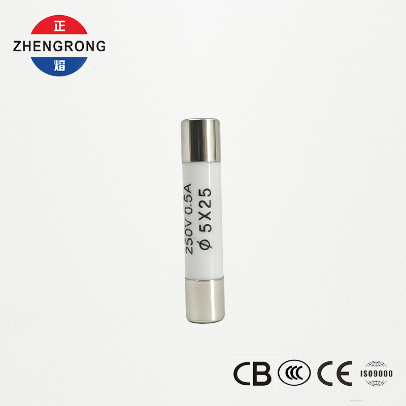 थोक खरीदारों के लिए उच्च गुणवत्ता वाले 5x25mm R055 0.5A फ़्यूज़
