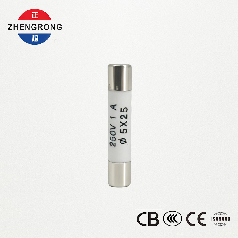 थोक खरीदारों के लिए उच्च गुणवत्ता वाले 5x25mm R055 1A फ़्यूज़